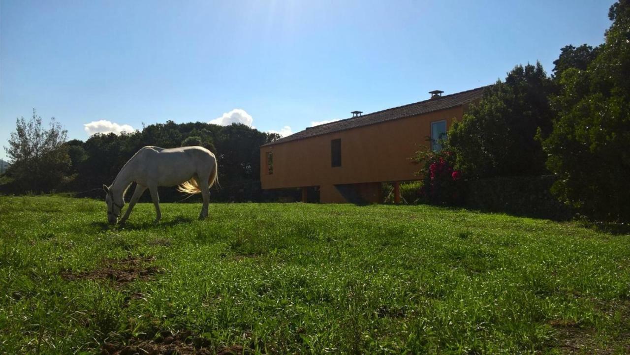 Quinta Da Falesia - Casa Amarela Понта Делгада Екстериор снимка